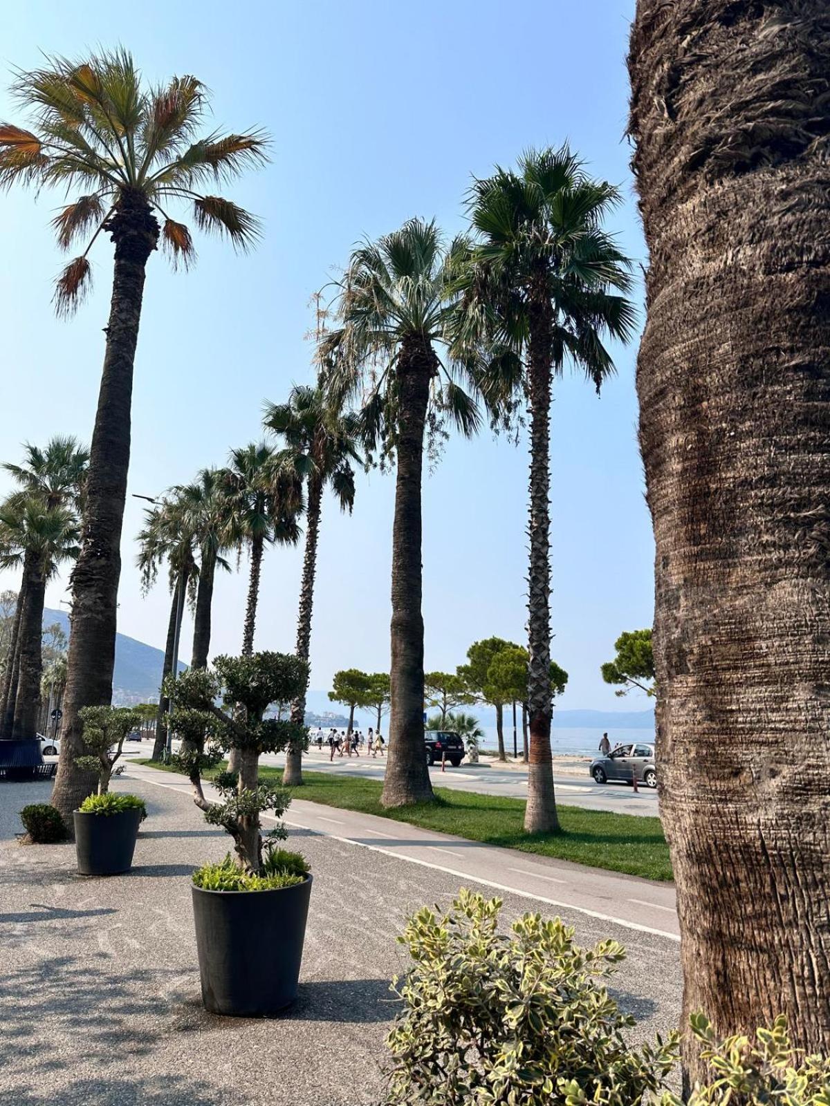 Apartment Auri's House Vlore